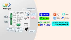 Wenqia tuya Wifi và điều khiển từ xa RF Công tắc đèn thông minh 2 kênh DC 12V 24V 36V 48V hoặc Type-C 5V1-250V tiếp xúc khô làm việc với Alexa Google nhà