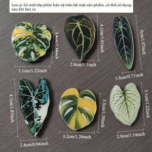 6 Chiếc Begonia Monstera Nam Châm Dán Tủ Lạnh Kawaii Thực Vật Nhiệt Đới Nam Châm Bảng Trắng Phong Cách Hoạt Hình Trang Trí Tủ Lạnh
