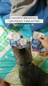 1 Box Life Cat Pouch Makanan Kucing Basah: Pilihan Praktis & Berkualitas Tinggi
