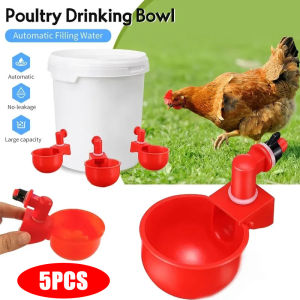 ถ้วยรดน้ำไก่ไก่ดื่มน้ำอัตโนมัติ5ชิ้น/ชุดถ้วยดื่มสัตว์ปีกนกกระทาสำหรับฟาร์มแก้วน้ำสัตว์ปีกอุปกรณ์อุปกรณ์ป้อนอาหาร