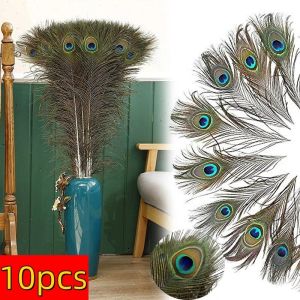 10Pcs Real Peacock Tail Eye Feather 25-50cm for DIY Craft Jewelry Vase Table Decor Plume stage perform Wedding clothing Dress Accessories