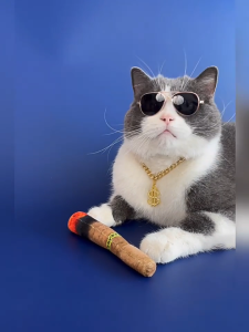 SP94 SET 3 ชิ้น แต่งตัวสัตว์เลี้ยง สำหรับน้องหมา และน้องแมว แว่นตาแมว สร้อยคอหมา พร็อพถ่ายรูปหมา