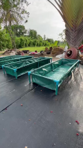 แถมฟรีโครง!กะบะเพาะปลูก แปลงผักเพาะปลูก 60x200x30cm วัสดุ PVC ระบายน้ำได้ดี ใช้งานได้ยาวนาน