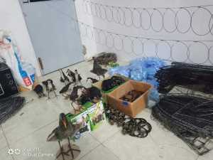 thòng dây bẫy quốc bộ 20 vòng có chống xoắn 360 dài 2m làm từ cước nhật