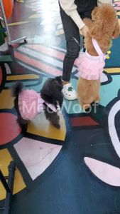 MEOWOOF Baju Kucing Cat Clothes Dog Shirt Cat Shirt Dog Clothes Puppy Clothes Pet Clothes Cat Tshirt