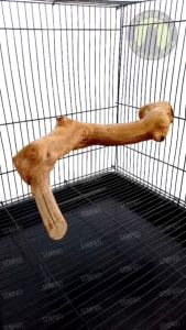 SEMPATI Tangkringan Burung Parrot Kayu Kopi Tenggeran Tangkringan Sangkar Kandang Burung Kakatua Nuri Betet Falk Grey Parrot Paruh Bengkok Tangkringan Iguana Sugar Glider Hamster Ular Kayu Alami