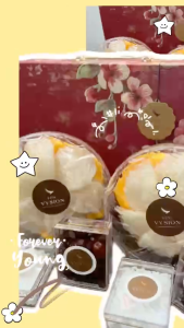 Yến Tinh Chế Vysion