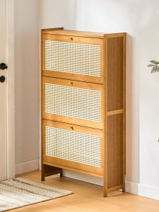 TUOJUE | Dustproof Tilt-Operated Shoe Rack
