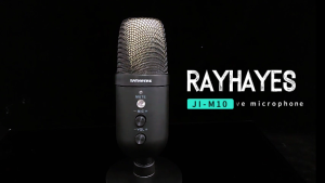 RAYHAYES USB Microphone RGB Lighting Gaming Mic for PC Voice Gaming Live Streaming Noise Canceling