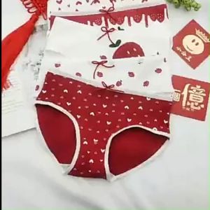 Combo 5 quần lót nữ chất cotton siêu mát - Quần lót nữ quả dâu xuất Nhật mềm mịn