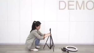 AR PAKET LENGKAP RING LIGHT LED 33CM Lampu 33 cm Make Up Lampu + TRIPOD 21M + HOLDER HP Ringlight