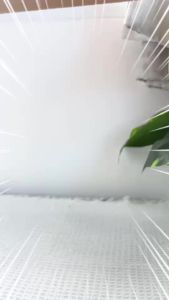 รังนกบอนแบค 42 มล 5 แพค ธรรมชาติ สูตร 100% จากถ้ำธรรมชาติ บอลูกเป้า ของขวัญ ปีใหม่