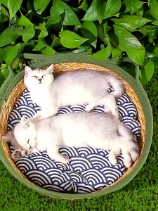 Handmade Rattan Pet Nest Straw Katil Kucing Cat House Cat Bed Cage Scratch Sarang Rotan Kucing Menggaruk Penggaruk