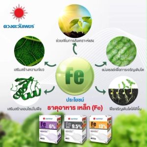 ทองแดง (คอปเปอร์) Cu EDTA 14% (ขนาด 1 กิโลกรัม) ดวงตะวันเพชร