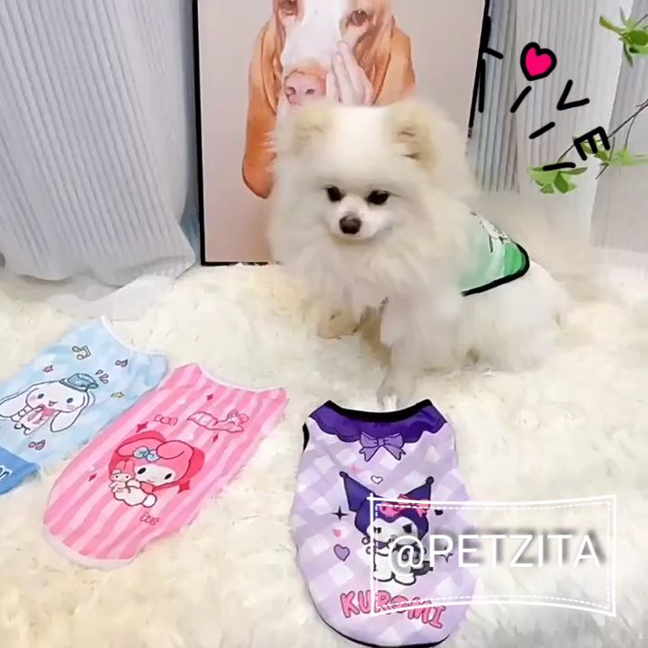 🇹🇭พร้อมส่ง🇹🇭 💟🐶🐱🇹🇭พร้อมส่ง🇹🇭 เสื้อแขนกุด ลาย การ์ตูน สุดน่ารัก for pet ...