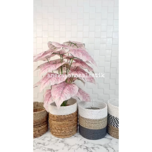 Pohon Hias Tanaman Artificial Daun Calladium Pink Full X18 Semilatex Cover Seagrass Hiasan Sudut Studio