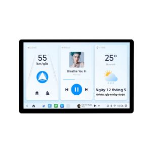 JIUYIN | Navigation & Rearview Camera Central Display