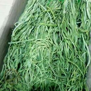 Rau Tiến Vua (cần biển) khô xanh non giòn ngọt đủ chất xơ vita min cho cơ thể món quà tuyệt vời từ thiên nhiên - Thiên Thảo Organic