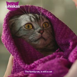 WHISKAS Dry Cat Food in Tuna Flavor for Adult Cats 1.2kg