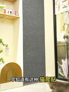 MIẾNG CÀO MÓNG CHO MÈO KÈM ĐỒ CHƠI BANH DÂY THỪNG CHẮC CHẮN ĐỒ CHƠI GIÚP MÈO MÀI MÓNG