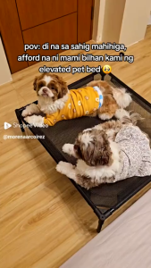 Foldable large elevated pet dog bed breathable and comfortable washable mesh cooling pad suitable for dogs washable suitable for large cats and dogs breathable sofa pet march pet dog cat mattress
