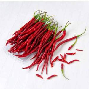 Cabai keriting fresh 1 kg murah