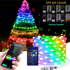 Smart LED String Bluetooth APP Control RGBIC Fairy Lights Waterproof USB Music Dream Color Light Party Room Decoration