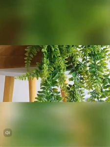 ต้นไม้ปลอม สีเขียวเปอร์เซีย ใบไม้ปลอม สําหรับแขวนตกแต่งผนังบ้าน สวน DIY ของแต่งห้อง(พร้อมส่งในไทย ถึงเร็วทันใจ)