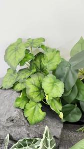 20 CM Artificial Mini Foliage Plants 7 Styles Realistic Faux Greenery for Home Garden Plant Wall DIY Floral Indoor Outdoor Decor