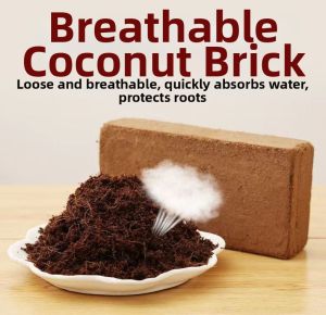 HUAZINIAO | Sterile Nutrient-Rich Universal Coconut Brick