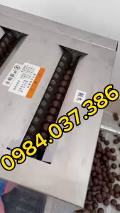 Máy làm viên hoàn tễ thuốc bắc cỡ lớn size 16/19/23mm