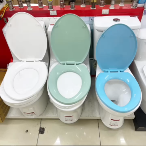 Nắp bồn cầu vệ sinh thay bồn cầu 2 khối rời Dolacera Landsign Dococera HC Thiên ThanhTosco...