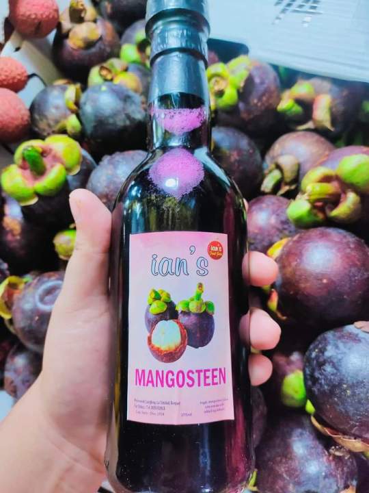 IAN'S MANGOSTEEN FRUIT WINE 4ALCOHOL CONTENT Lazada PH