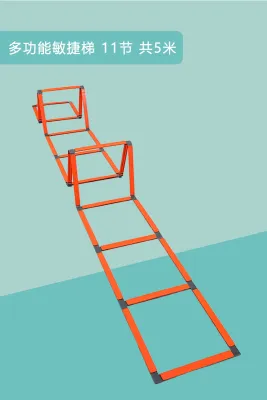 WFREALIA | Sensory and Agility Training Ladder