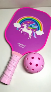 Kids Pickleball Paddle Set 1 paddle 2 balls Fiberglass Pickleball Paddle Gift for Students Girls Boys