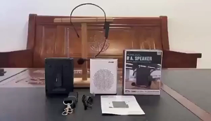 BTS-1383 BT Full Featured Fashion SpeakerBT Fm Radio Speaker With Wireless Micrpohone