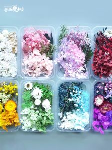 Graduation DIY Kit Decorations with Preserved Flower