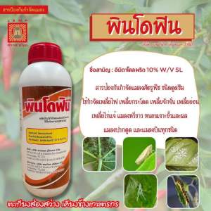 พินโดฟิน ยาเย็นสูตรพิเศษ ฉีดผ่าดอกได้ ชนิดดูดซึม กา จัดเพลี้ย หนอน แมลงปากดูด