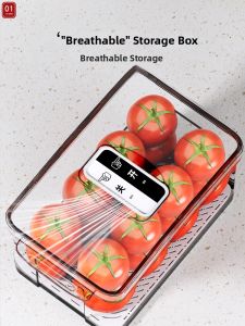 Freshness Preservation Food Storage Box