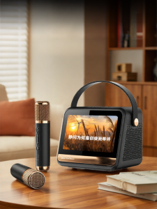 soaiy | KTV Lyrics Speaker Microphone Integrated Bluetooth