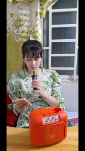 Loa Bluetooth Karaoke Mini SY8 Mẫu Mới Nhỏ Gọn Công Suất 10W - Tặng Kèm 1 Micro Không Dây - Củ loa nghe nhạc