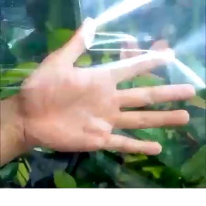 พลาสติกคลุมโรงเรือน พลาสติกใสกันฝนพลาสติกPE หนา 120/150ไมครอน 6×10 / 6×15เมตร UV7% เหมาะสำหรับงานกันซึมหลังคาเรือนกระจก