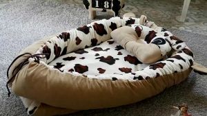 เซ็ทที่นอนพร้อมหมอนให้นม