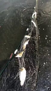 Sun Pancing Jaring Ikan 3 Lapis Bahan Nilon Monofilamen Tahan Lama Panjang 25Mx1.2M/45Mx1.2M