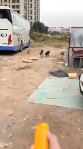 Perangkat Pengusir Anjing Ultrasonik Multifungsi