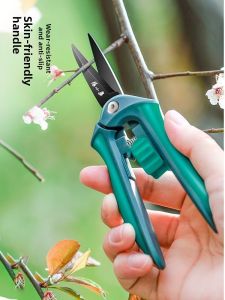 Zhang Xiaoquan | Pruning Shears for Branches Trees and Flowers