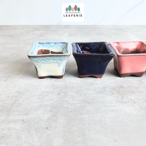 The Leaferie Bonsai (Series 84) plant pots. flowerpot . flowerpots . flower pot . planter Ceramic