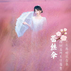 Princess Style Lace Umbrella: A Fresh Trend for Wedding Photography