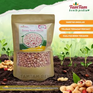 BENIH KACANG TANAH SUPER HIBRIDA UNGGUL 1kg