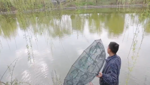 Portable Folding Fishing Net Nylon Shrimp Cage Crab Fish Trap Outdoor Crayfish Fishing Payung Jaring 渔网